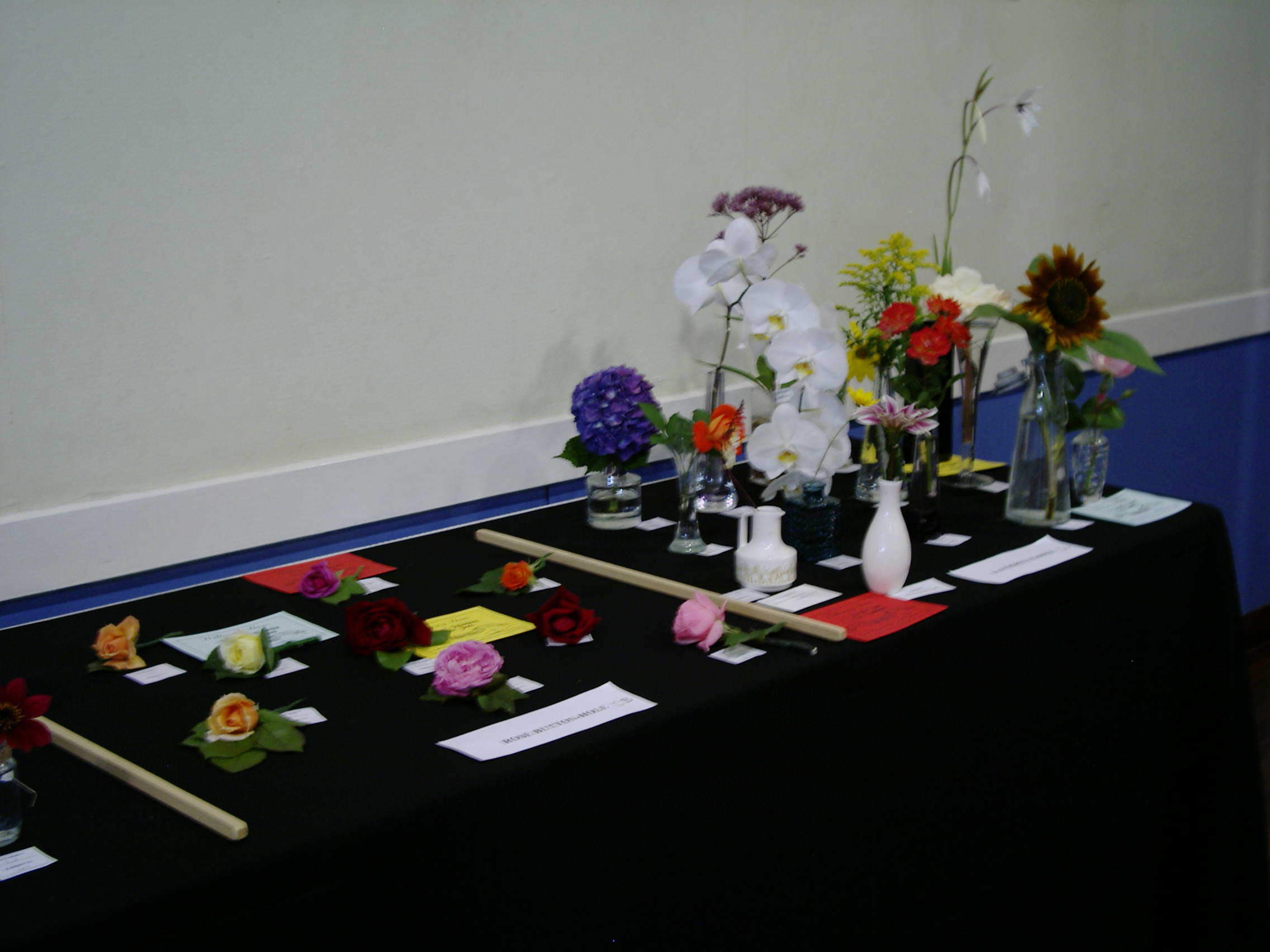 Willersey Show Flowers