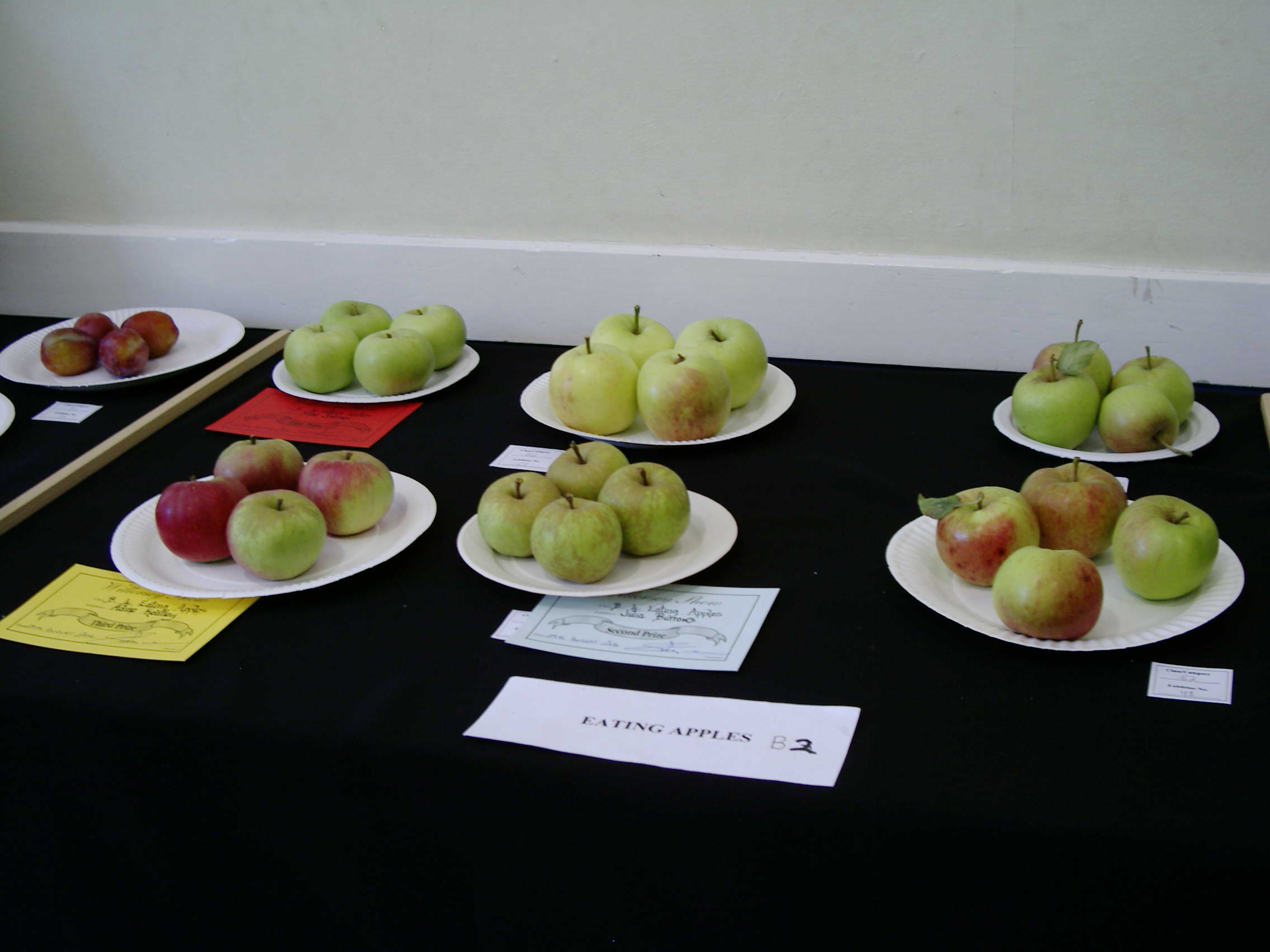 Willersey Show Apples