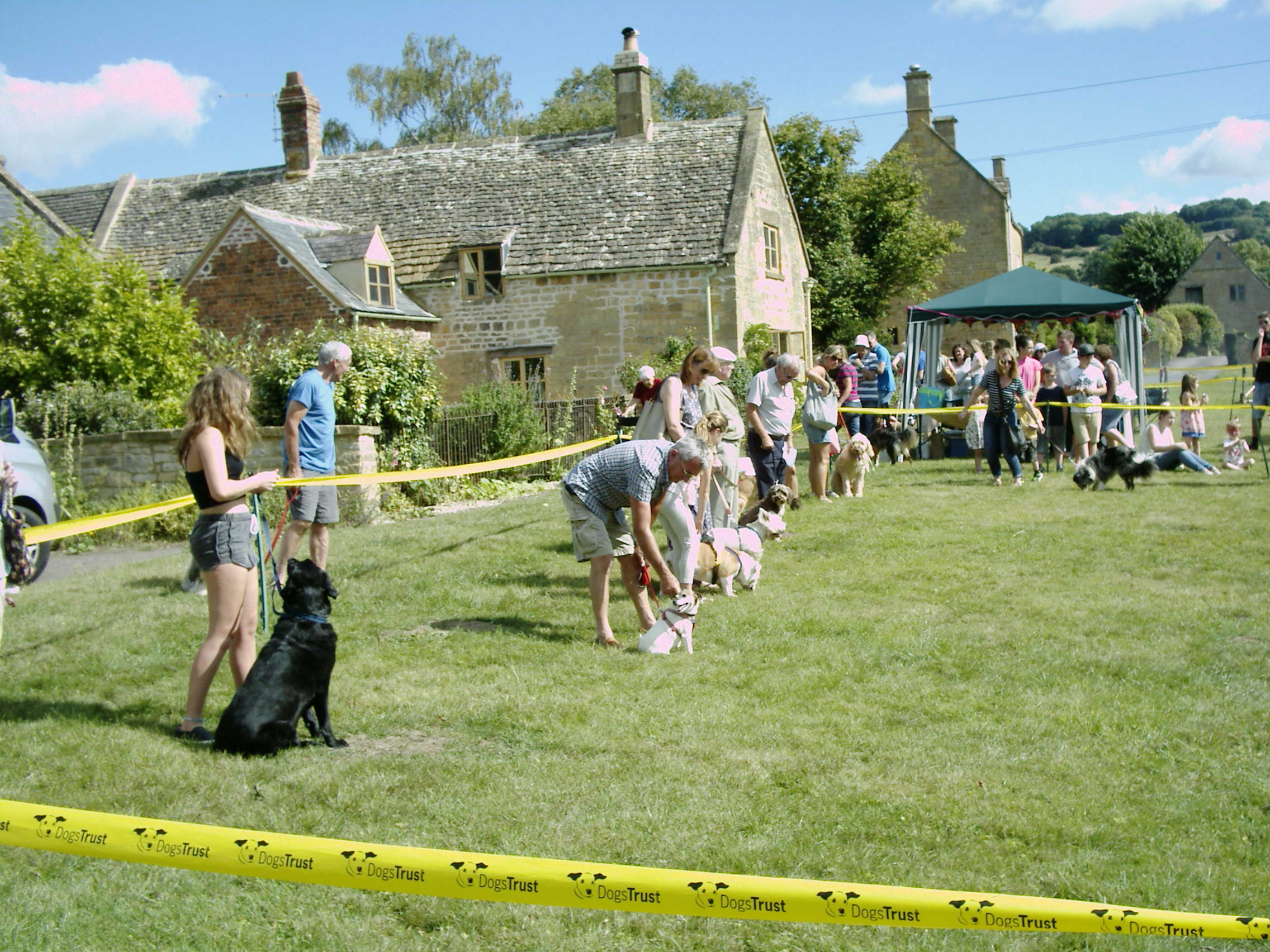 Willersey Dog Show 2016 1