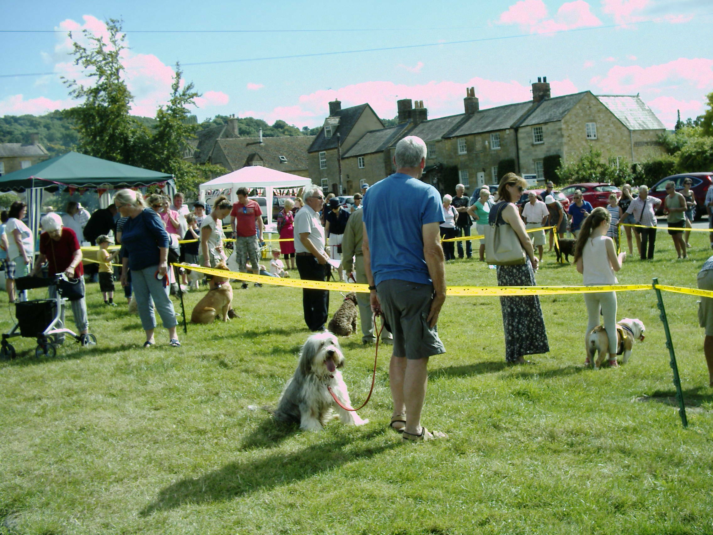 Willersey Dog Show 2016 2